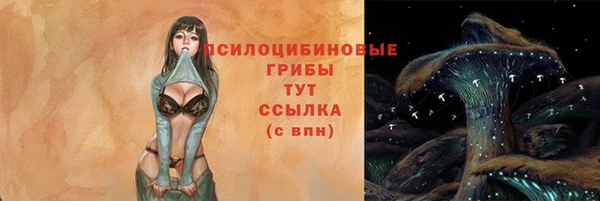 apvp Арсеньев