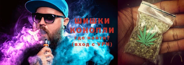 apvp Арсеньев