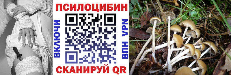 где купить наркоту  Валуйки  Псилоцибиновые грибы MAGIC MUSHROOMS 